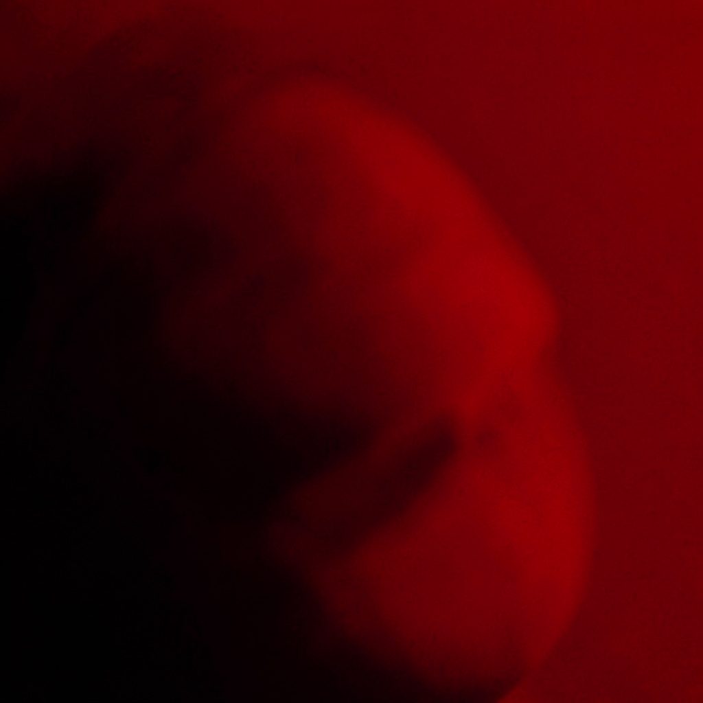A warm crimson and slate duotone illustration of a cropped apk cover, presented as a curated photograph.