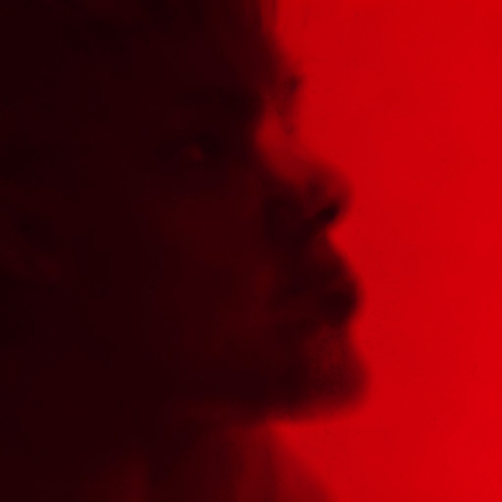 A warm crimson duotone illustration of a cropped apk cover, presented as a curated gallery print.